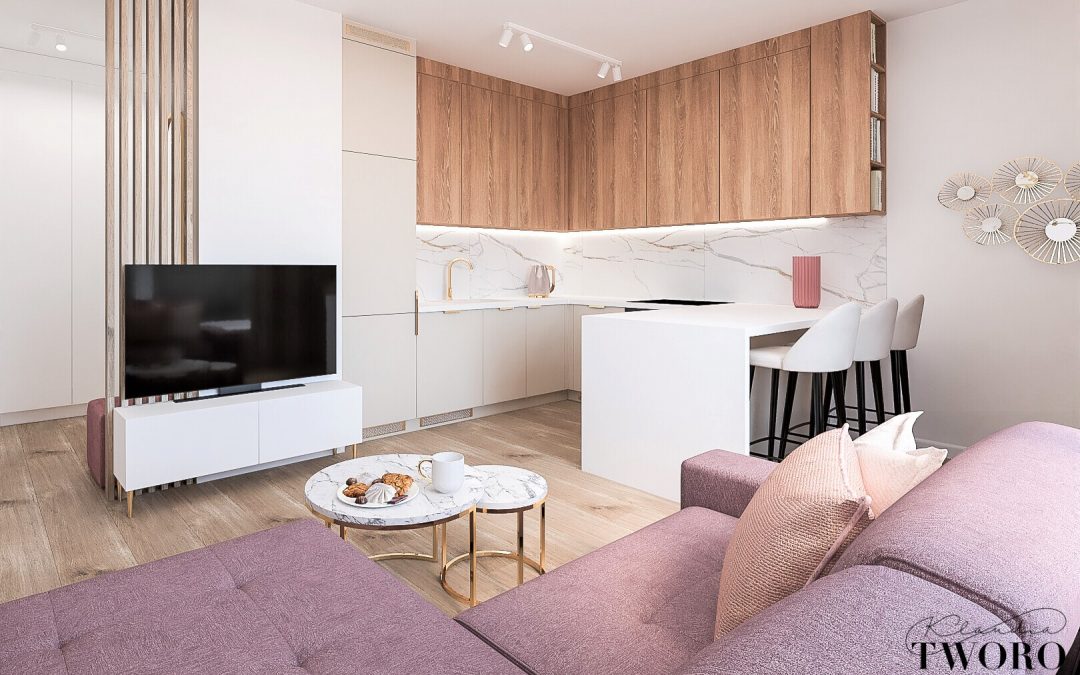 Manupark – Projekt Mieszkania Na Wynajem